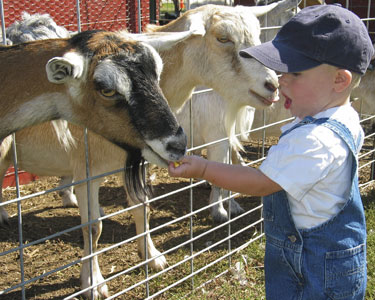 Kids Sarasota and Bradenton: Animal Encounters - Fun 4 Sarasota Kids