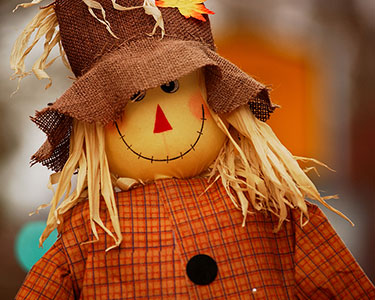 Kids Sarasota and Bradenton: Halloween and Fall Displays - Fun 4 Sarasota Kids