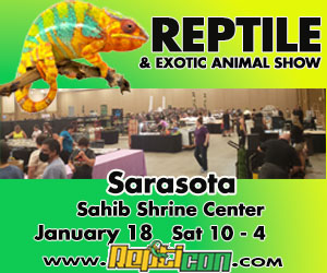 Repticon Sarasota 