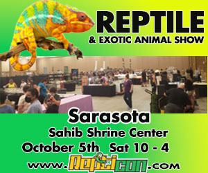 Repticon Sarasota 