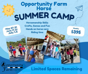 Opportunity Farm Horse Summer Camp