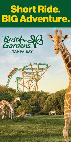 Busch Gardens Tampa Bay 