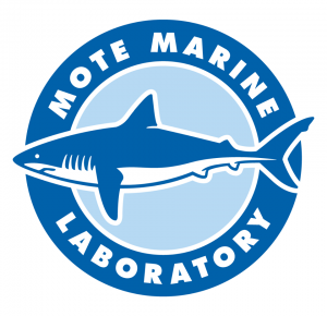 mote_marine_laboratory.png