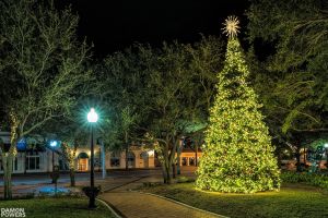 Sarasota Tree Lighting.jpg