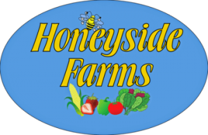 Honeyside_Logo_NO_Background_360x-250w.png
