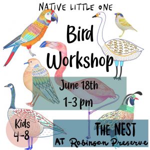 bird workshop.jpg