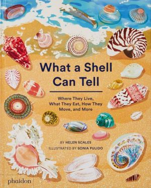 What a Shell Can Tell.jpg