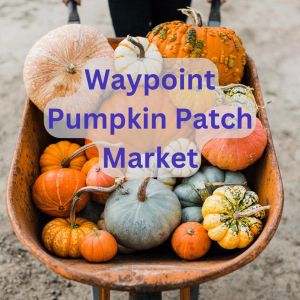 Waypoint Pumpkin Patch Market.jpg