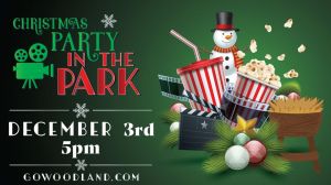 Christmas Party in the Park.jpg