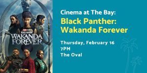 Black Panther at the Bay.jpg