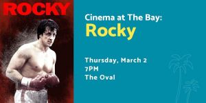 Rocky at The Bay.jpg