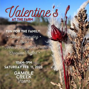 Valentine's on the Farm GCF.jpg