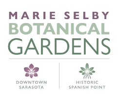 Marie selby Botanical Gardens.png