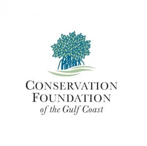 Bay at Osprey Conservation Foundation.jpg