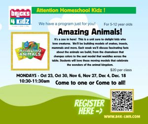 Bricks for Kidz Amazing Animals.jpg