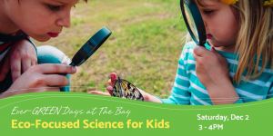 Bay Eco-Focused Science for kids.jpg