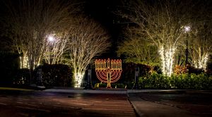 Chanukah on Main Street.jpg