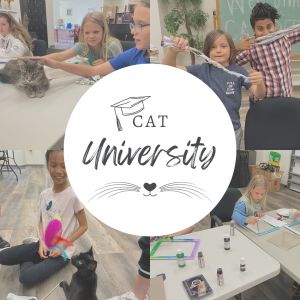 Cat University.jpg