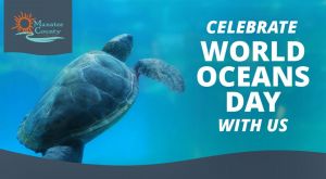 World Ocean Day.jpg