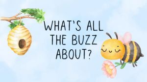what's all the buzz about.jpg