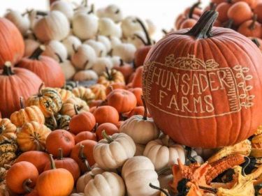 Hunsader Farms Pumpkin Festival Bradenton, Florida