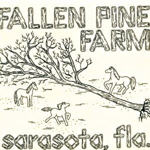 Fallen Pines Farm Miniature Horses