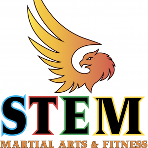 STEM Martial Arts