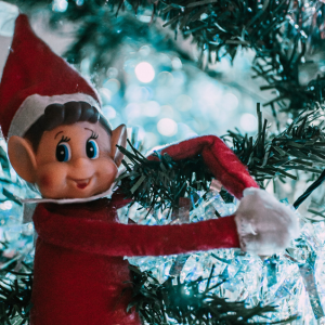 11/25-12/30 - Main Street Lakewood Ranch-Elf on the Shelf Contest