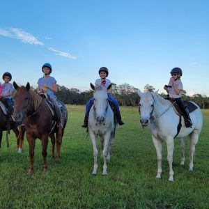 Hidden Creek Farm Horse Lover's Summer Camp