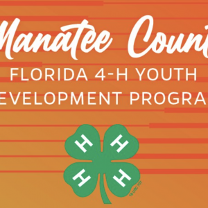 Manatee County 4-H Summer Camps