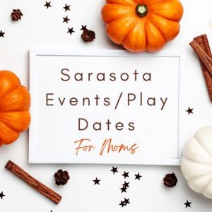 Sarasota and Surrounding Areas - Events, Play Dates for Moms
