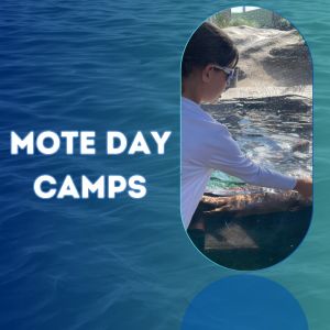 Mote Marine Aquarium and Laboratory Winter Break Day Camp