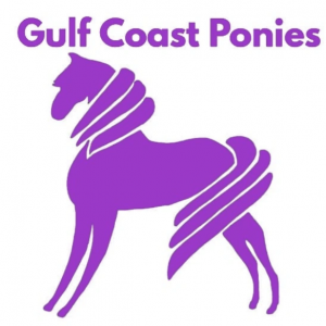 Gulf Coast Ponies- Photography With Horses