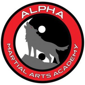 Alpha Martial Arts Academy Summer Camp