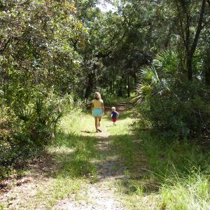 Red Bug Slough Preserve Trails