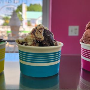 Pinecraft Ice Cream Shoppe