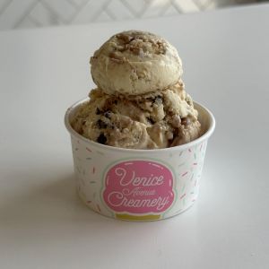 Venice Avenue Creamery