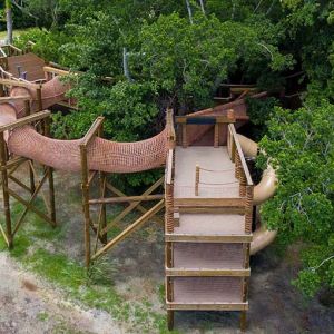 The Canopy Zone at The Robinson Preserve