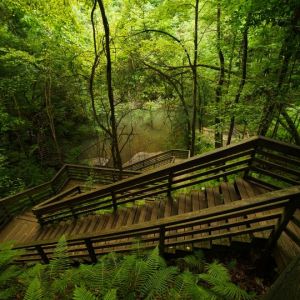 Devil’s Millhopper Geological State Park