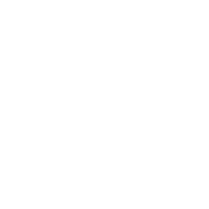 Lion Up Martial Arts Academy