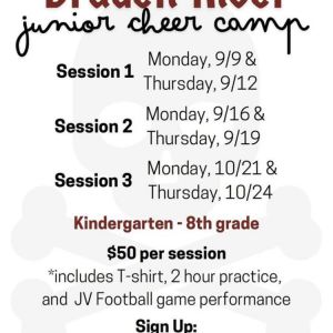 Braden River Junior Cheer Camp