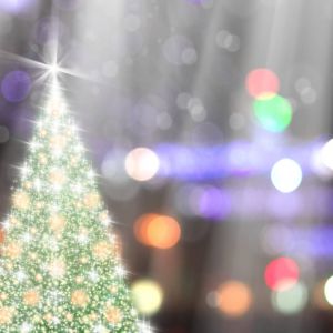 12/06 - Tree Lighting at Wellen Park