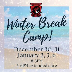 Red Tiger Martial Arts Winter Break Camp