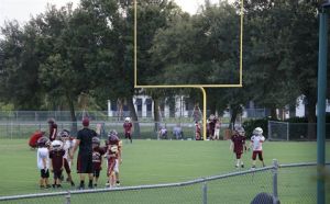 Larry Thoeniseen Athletic Fields