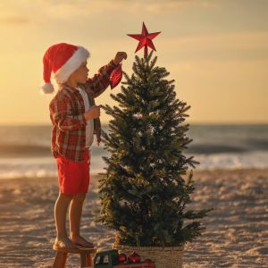 Tanya Kotlyar Photographer Sarasota Mini Christmas Photoshoot at the Beach