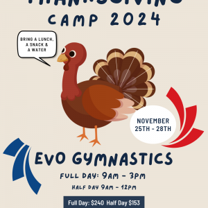 Evo Gymnastics Thanksgiving Break Camp