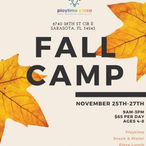 Playtime Plaza Fall Camp