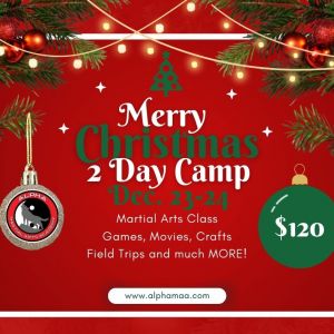 Alpha Martial Arts Academy Christmas Camp