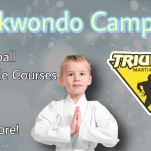 Triumph Martial Arts Winter Break Camp