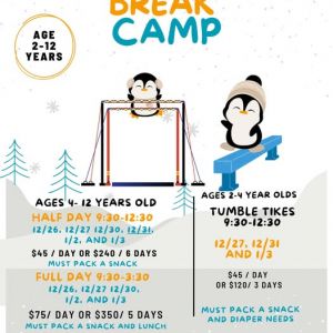 Acro Fit Gymnastics Center Winter Break Camp